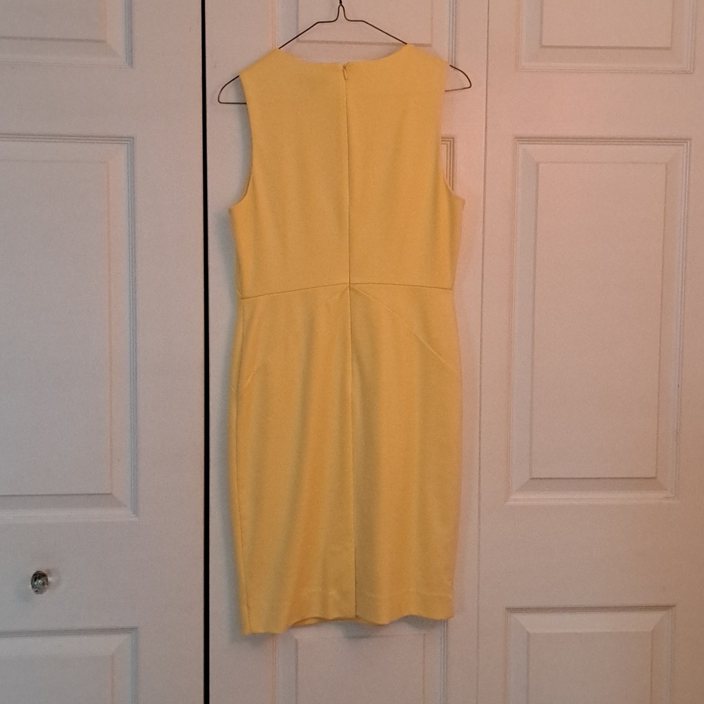 The Limited Dress - Picture 5 of 7